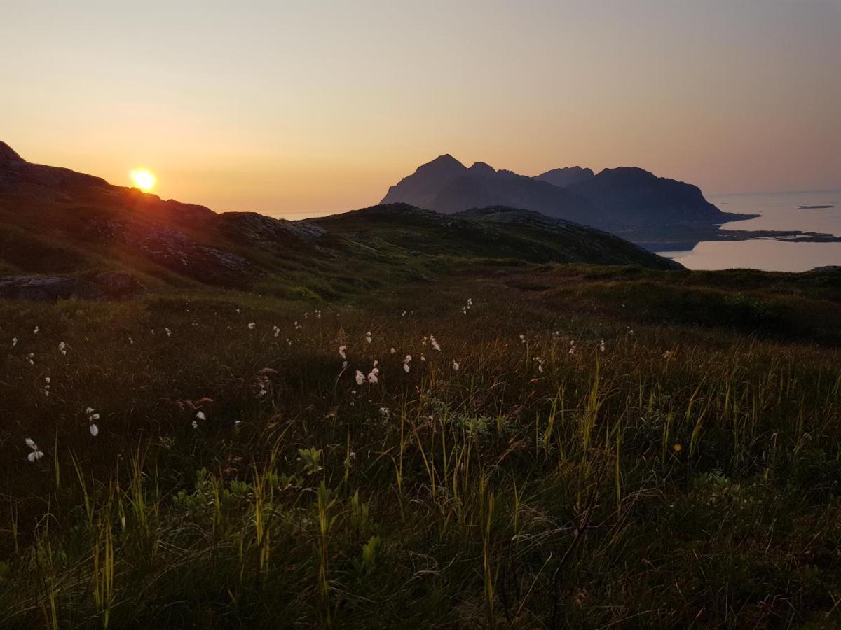 Villa Walter Lofoten With Sauna Kvalnes  المظهر الخارجي الصورة