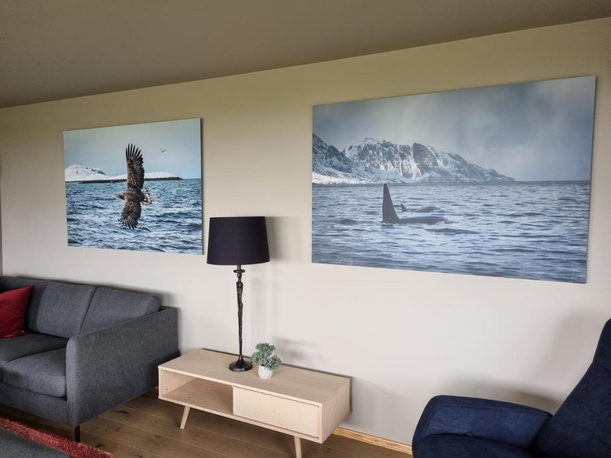 Villa Walter Lofoten With Sauna Kvalnes  المظهر الخارجي الصورة