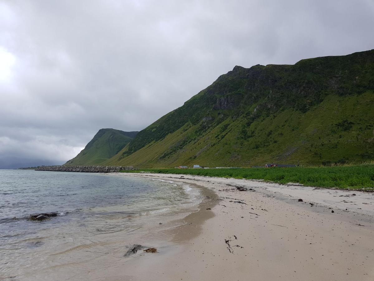 Villa Walter Lofoten With Sauna Kvalnes  المظهر الخارجي الصورة