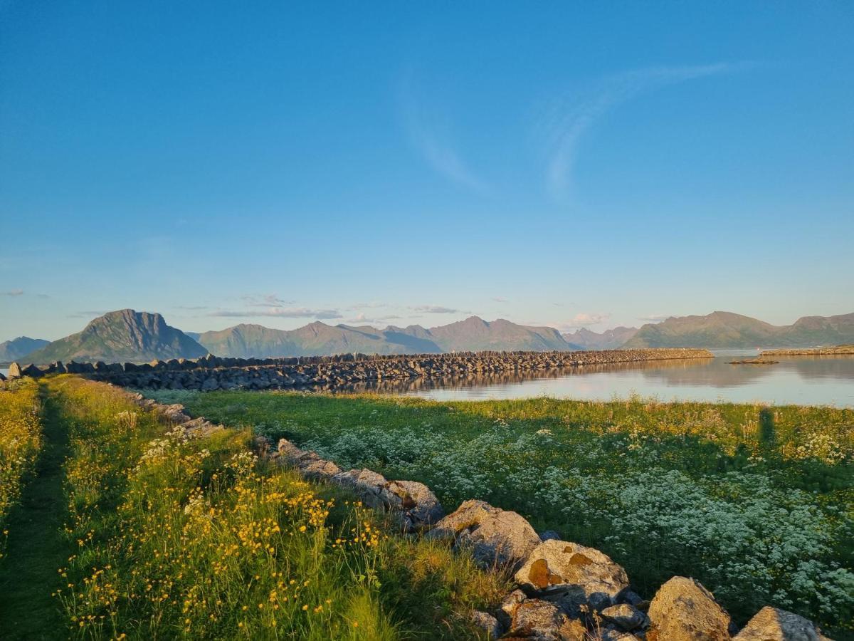 Villa Walter Lofoten With Sauna Kvalnes  المظهر الخارجي الصورة