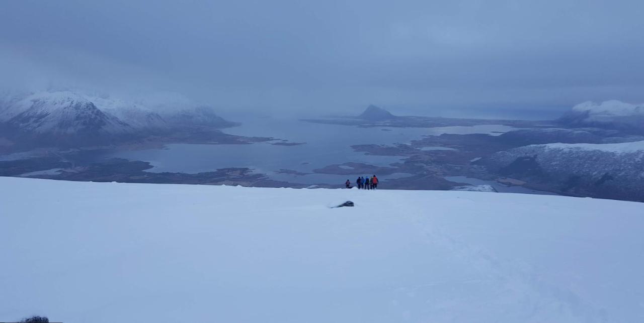 Villa Walter Lofoten With Sauna Kvalnes  المظهر الخارجي الصورة
